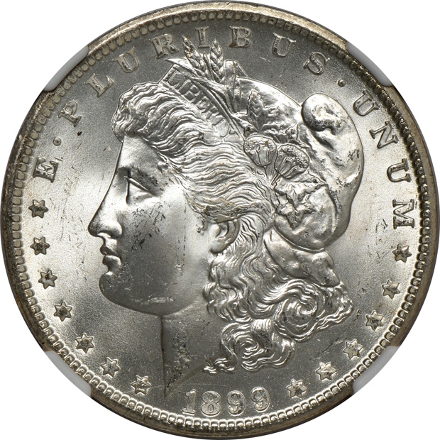 Seven certified GEM Morgan silver dollars