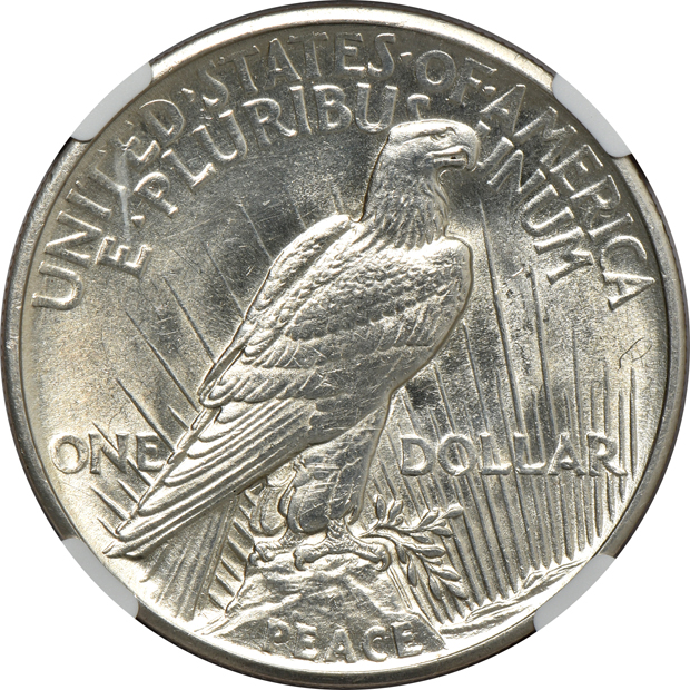 1921 Peace, High Relief UNC details/cleaned, and a 1928 UNC details/obverse scratched