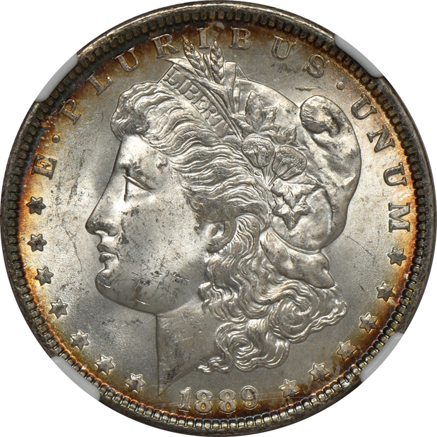 Eight Uncirculated Morgan silver dollars certified by NGC