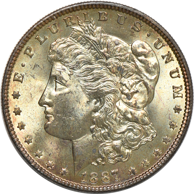 Fifteen Uncirculated Morgan silver dollars, raw