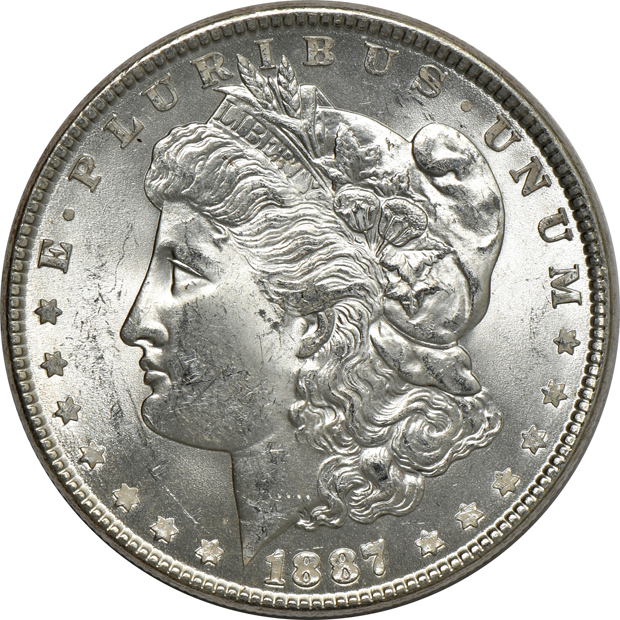 Fifteen Uncirculated Morgan silver dollars, raw