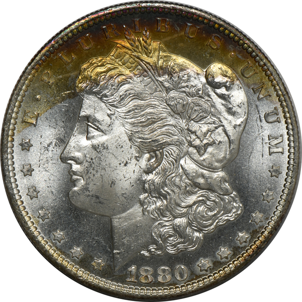 Fifteen Uncirculated Morgan silver dollars, raw