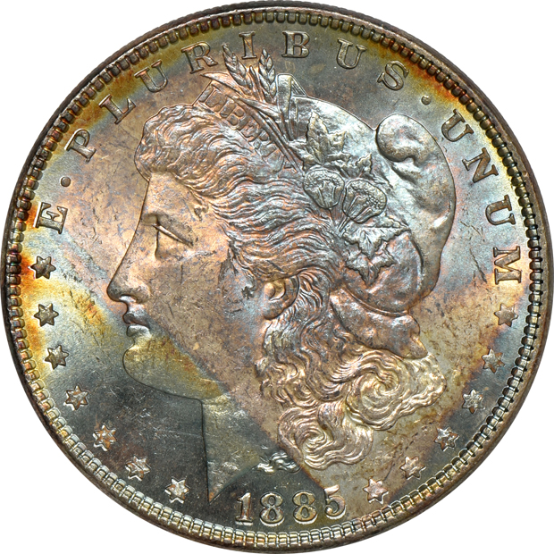 Seven Uncirculated toned Morgan silver dollars, raw