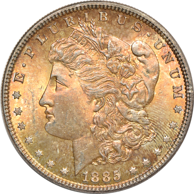 Seven Uncirculated toned Morgan silver dollars, raw