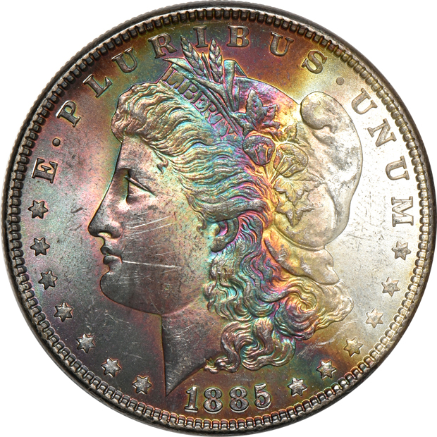 Seven Uncirculated toned Morgan silver dollars, raw