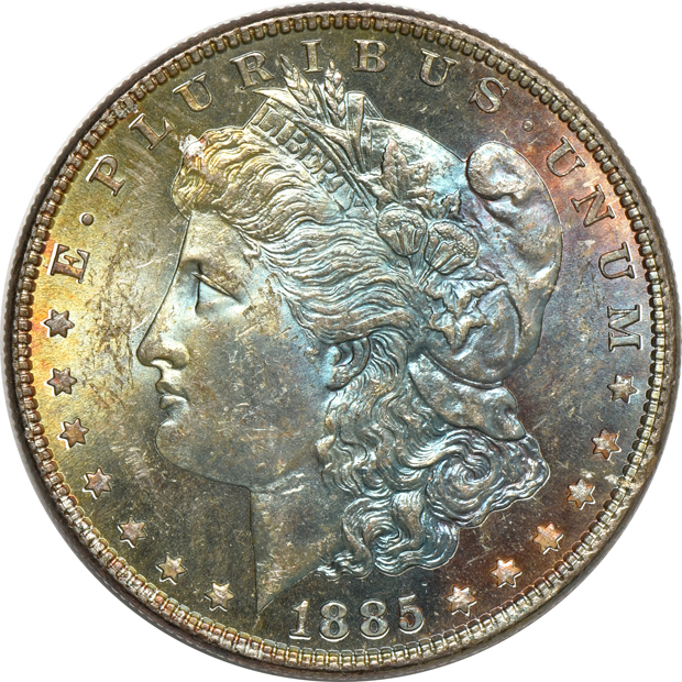 Seven Uncirculated toned Morgan silver dollars, raw