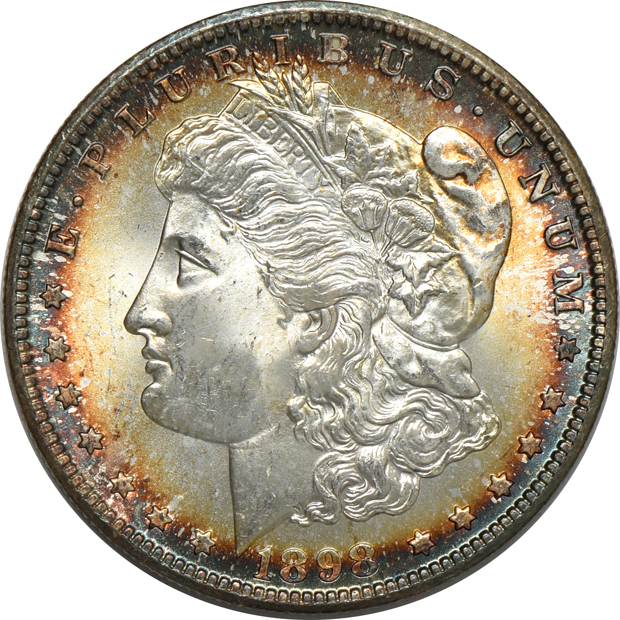 Seven Uncirculated toned Morgan silver dollars, raw
