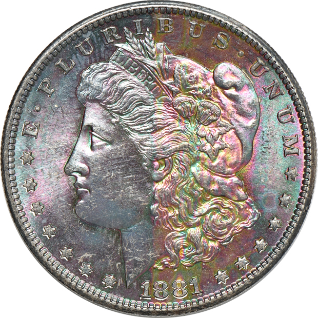Seven Uncirculated toned Morgan silver dollars, raw