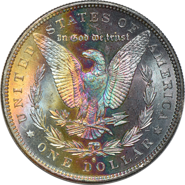 Seven Uncirculated toned Morgan silver dollars, raw
