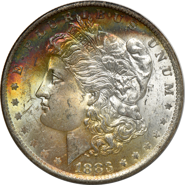 Seven Uncirculated toned Morgan silver dollars, raw