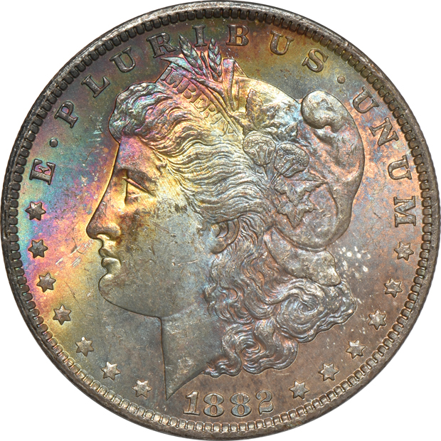 Seven Uncirculated toned Morgan silver dollars, raw