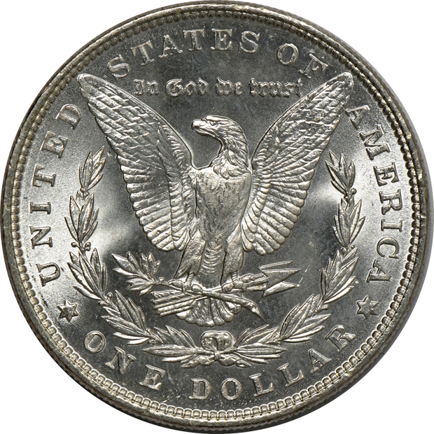 Five Uncirculated Morgan silver dollars, raw