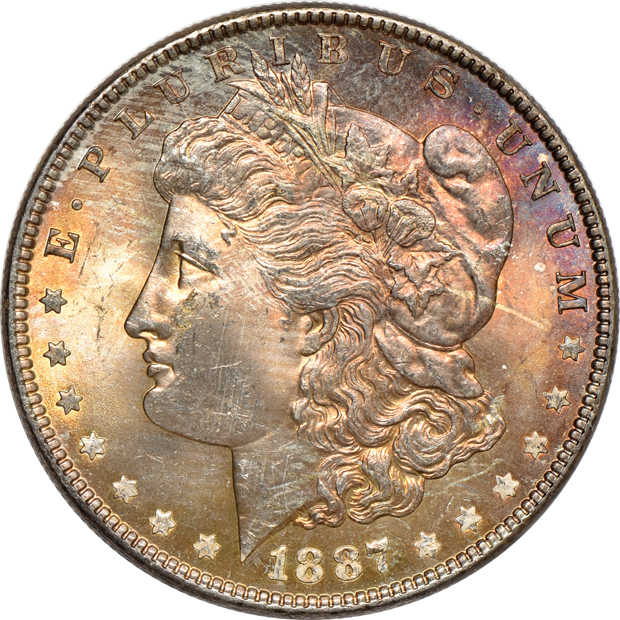 Five Uncirculated Morgan silver dollars, raw