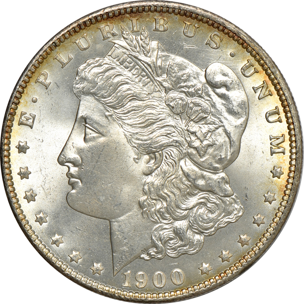 Five Uncirculated Morgan silver dollars, raw