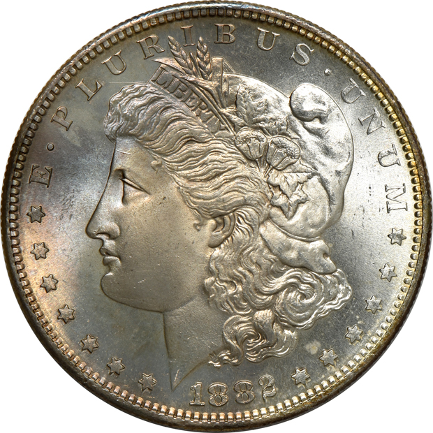 Nine Uncirculated Morgan silver dollars, raw