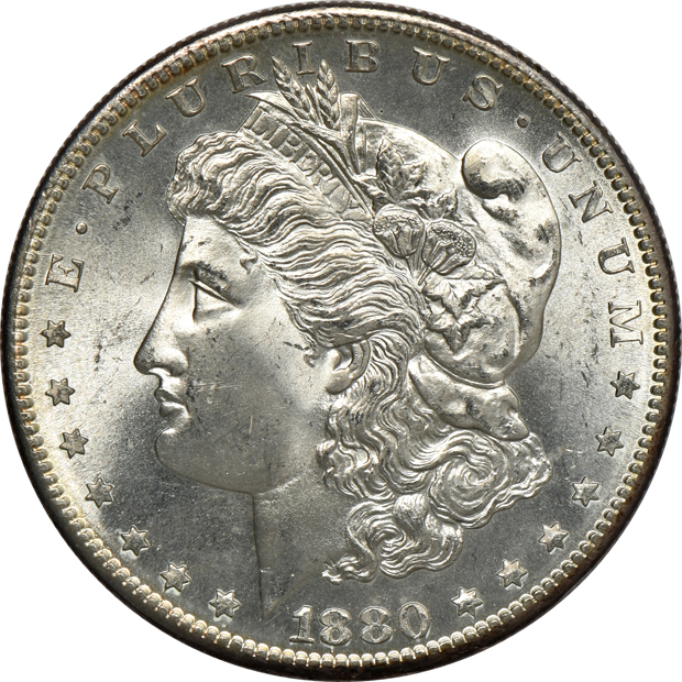 Nine Uncirculated Morgan silver dollars, raw