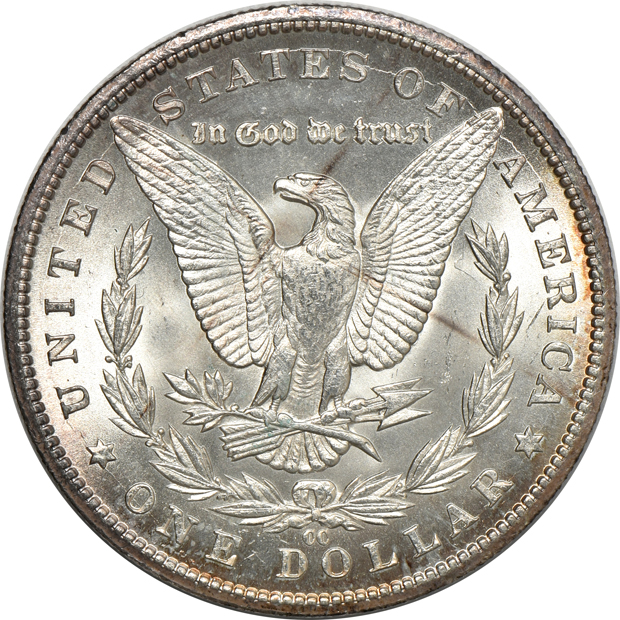 Three 1885-CC Uncirculated, raw