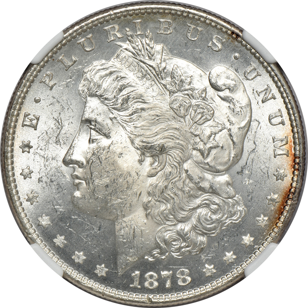 Three 1878 8TF, all NGC