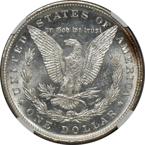 Three 1878 8TF, all NGC