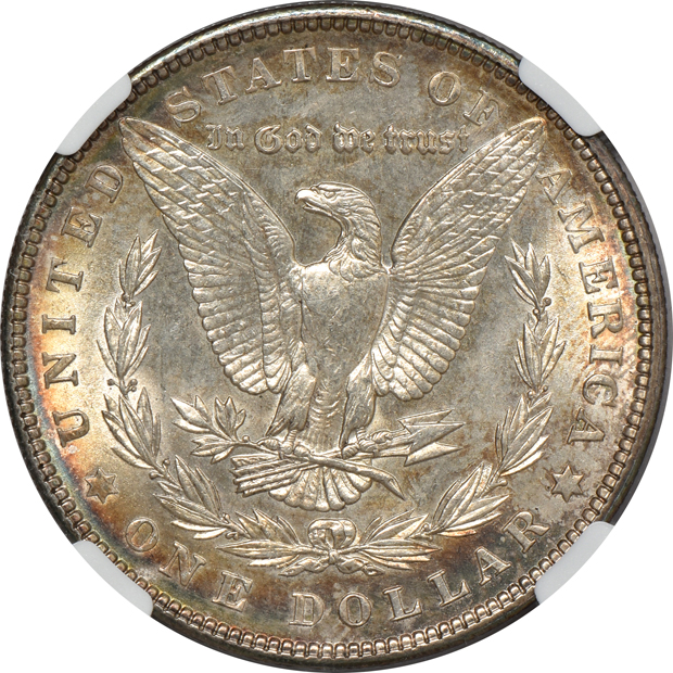 1878 7TF Reverse of 1878 MS-62, 1900-O MS-65, and a 1902 MS-64, all NGC