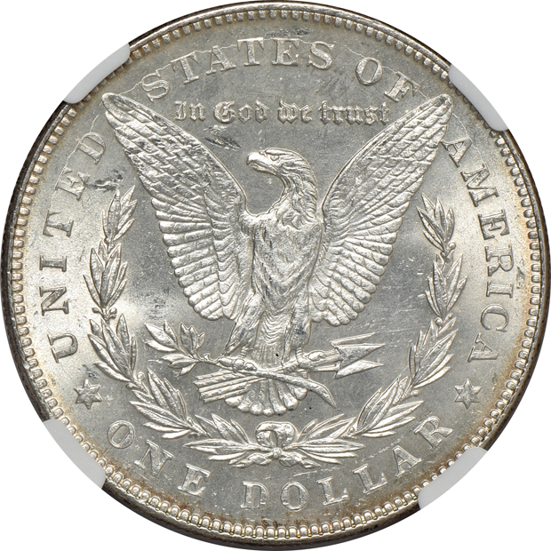 1878 7TF Reverse of 1878 MS-62, 1900-O MS-65, and a 1902 MS-64, all NGC