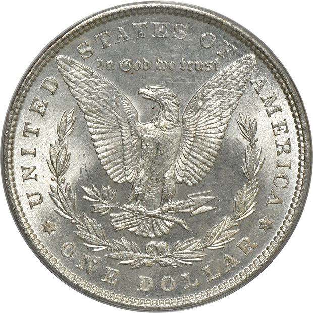 Five Morgan silver dollars, all PCGS MS-65 (green label)