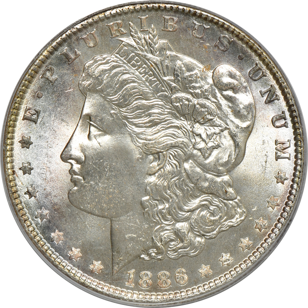 Five Morgan silver dollars, all PCGS MS-65 (green label)