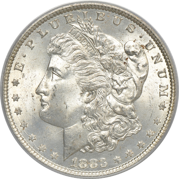 Five Morgan silver dollars, all PCGS MS-65 (green label)
