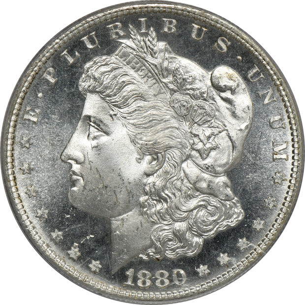 Four Morgan silver dollars, all PCGS MS-65 (green label)