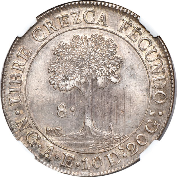 Central American Republic - 1846/2-NG AE 8 reales - CREZCA/CRESCA AE/MA NGC AU-58