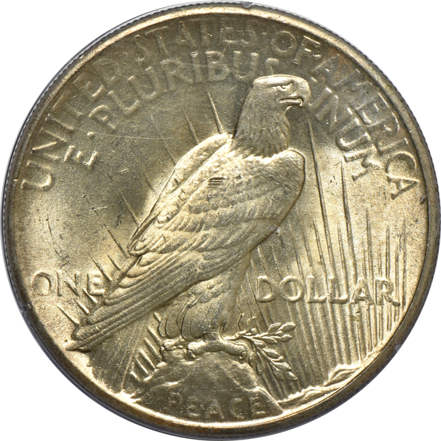 Two Morgan silver dollars, a Peace silver dollar, and a Walking Liberty half-dollar, all Uncirculated PCGS (rattler)