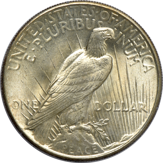 Three Uncirculated Morgan silver dollars, and an Uncirculated Peace silver dollar, all PCGS (rattler) CAC