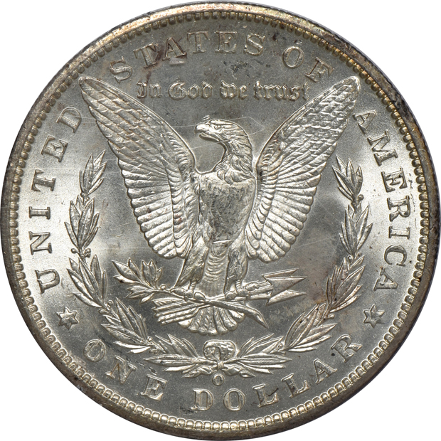 Five Morgan silver dollars, all PCGS (rattler) CAC