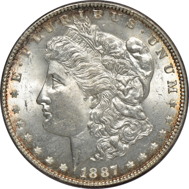 Five Morgan silver dollars, all PCGS (rattler) CAC