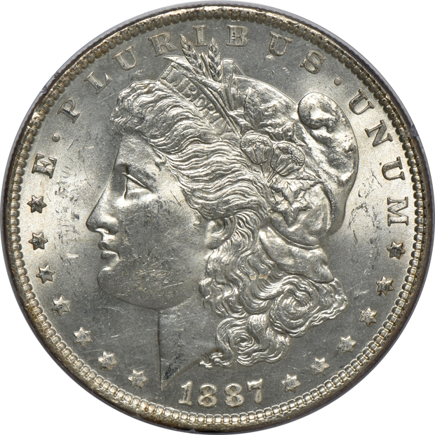 Five Morgan silver dollars, all PCGS (rattler) CAC