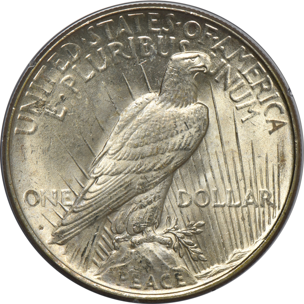 1922 MS-65 (green label), 1923 MS-65 (green label), and a 1923-D MS-63 (rattler), all PCGS CAC