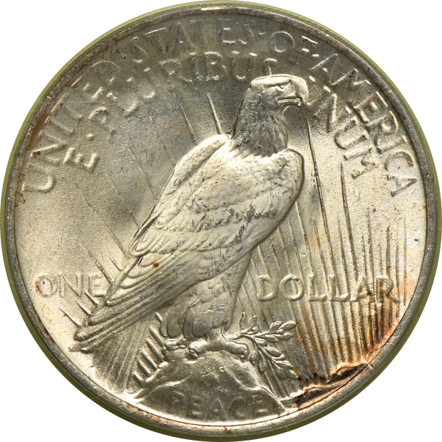 1922 MS-65 (green label), 1923 MS-65 (green label), and a 1923-D MS-63 (rattler), all PCGS CAC