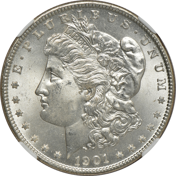 Eight Morgan silver dollars, all NGC MS-66