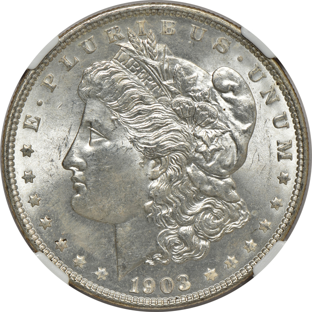 Eight Morgan silver dollars, all NGC MS-66