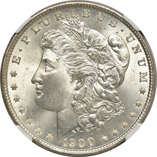Eight Morgan silver dollars, all NGC MS-66
