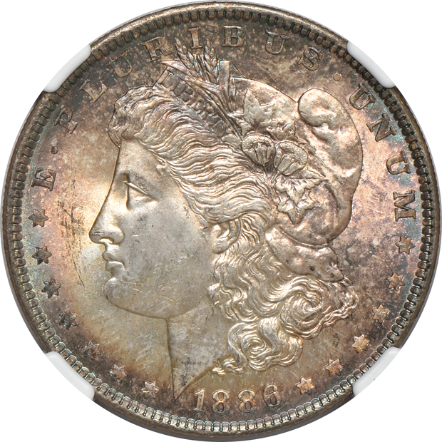 Five certified Uncirculated Morgan silver dollars