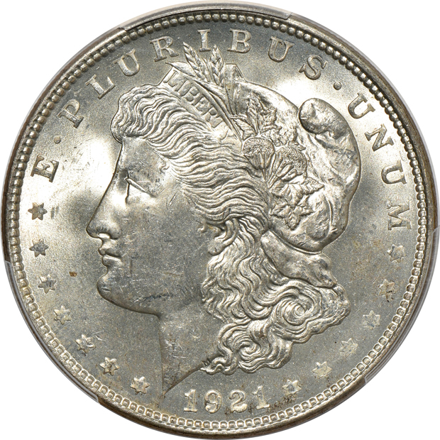 Eleven PCGS certified U.S. type coins