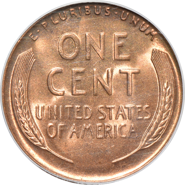 Collection of raw and certified Lincoln cents 1909 through 2009