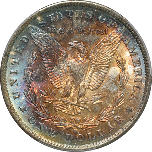 Five Uncirculated Morgans silver dollars certified by PCGS