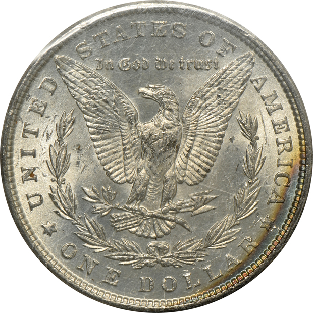Five NGC certified Morgan silver dollars, all GSA softpack