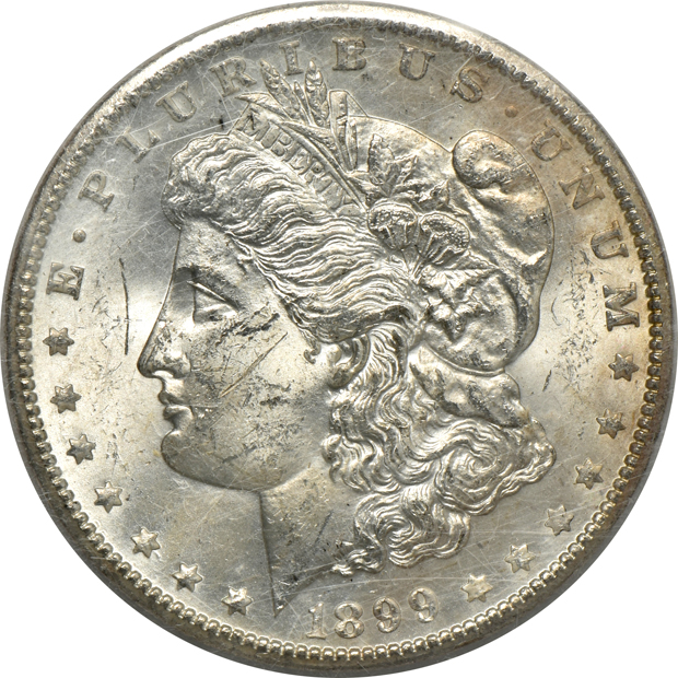 Five NGC certified Morgan silver dollars, all GSA softpack