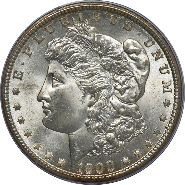 Nine Morgan silver dollars, all PCGS MS-63 (rattler)