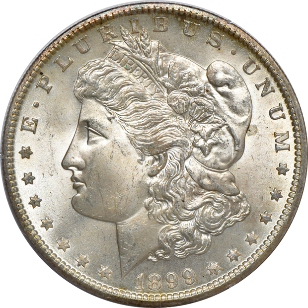 Nine Morgan silver dollars, all PCGS MS-63 (rattler)