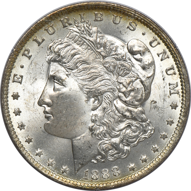 Nine Morgan silver dollars, all PCGS MS-63 (rattler)