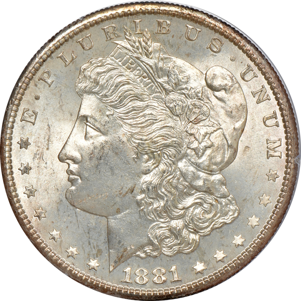 Nine Morgan silver dollars, all PCGS MS-63 (rattler)